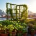 10 best tips for container gardening